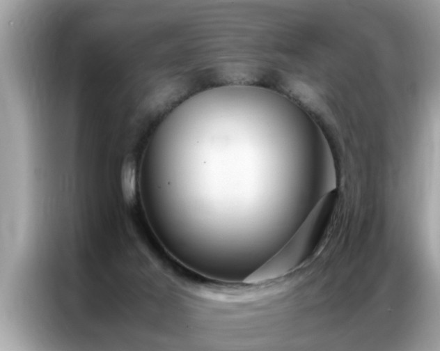 X0000087370021200704271503