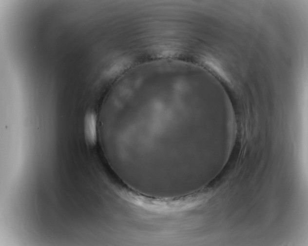 X0000087370022200704271503