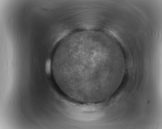 X0000087370024200704271503