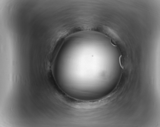 X0000087370025200704271503