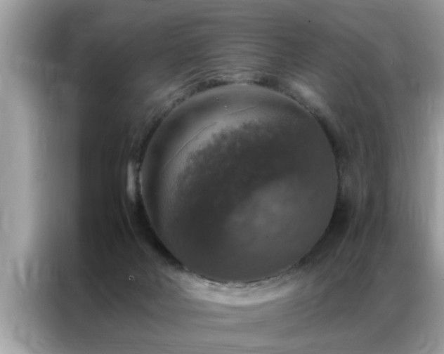 X0000087370026200704271503