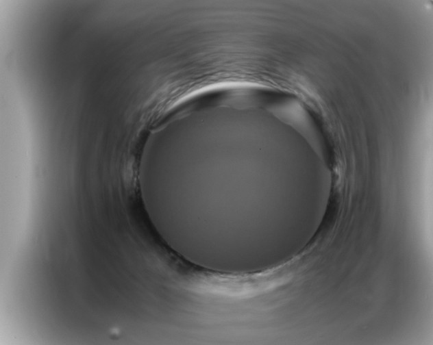 X0000087370029200704271503