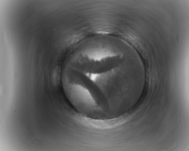 X0000087370030200704271503