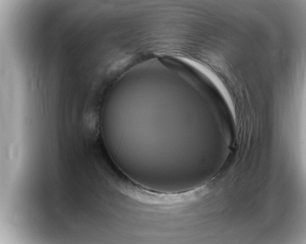X0000087370031200704271503