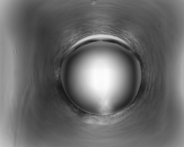 X0000087370033200704271503