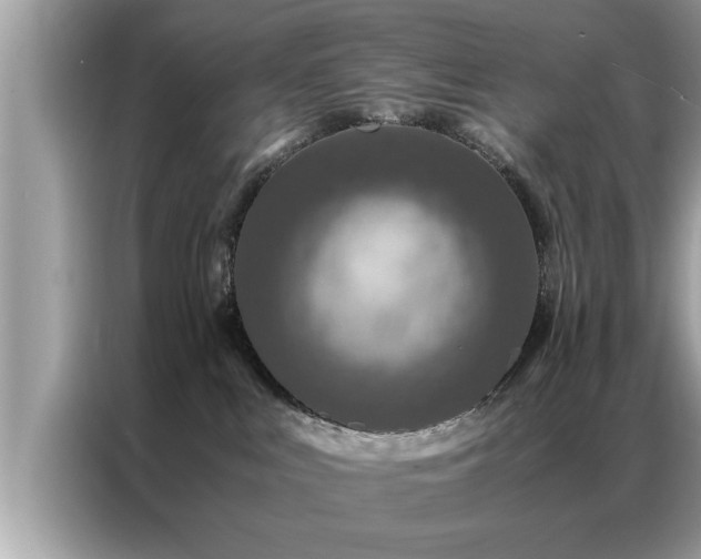 X0000087370043200704271503