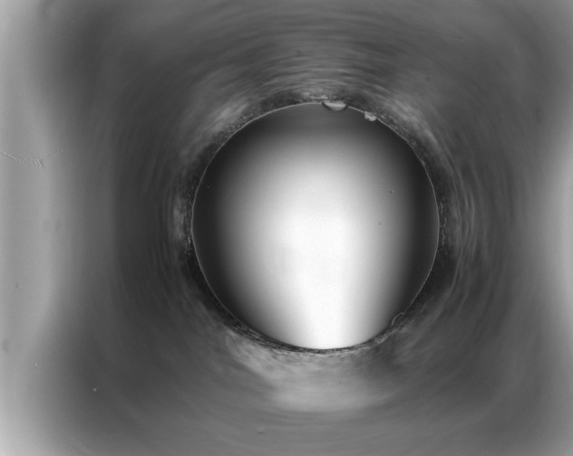 X0000087370044200704271503