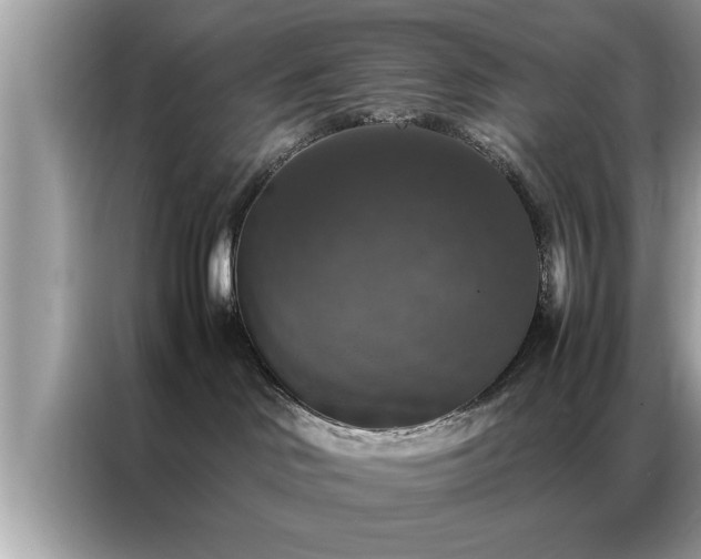 X0000087370046200704271503