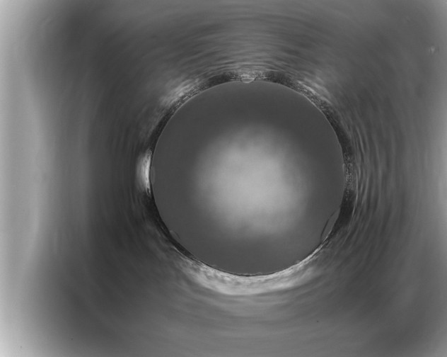 X0000087370047200704271503