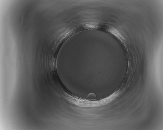 X0000087370048200704271503