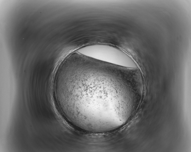 X0000087370049200704271502