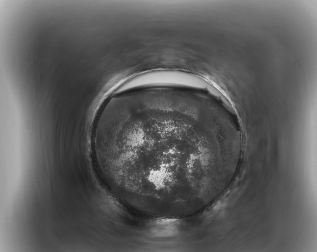 X0000087370055200704271502