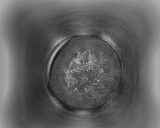X0000087370058200704271502
