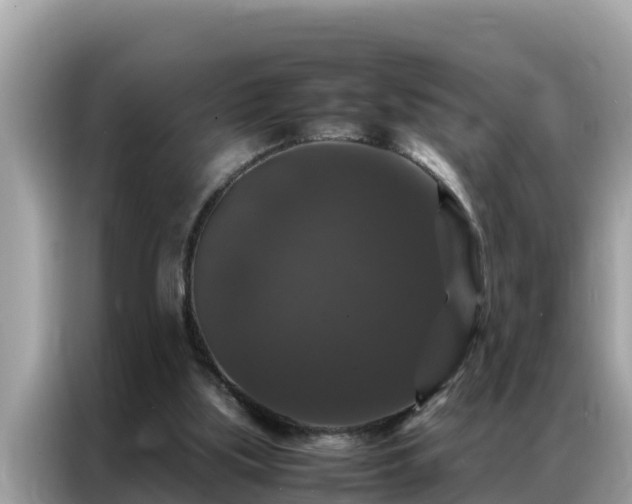 X0000087370059200704271502