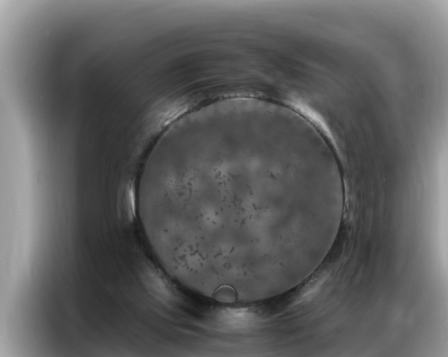 X0000087370061200704271502