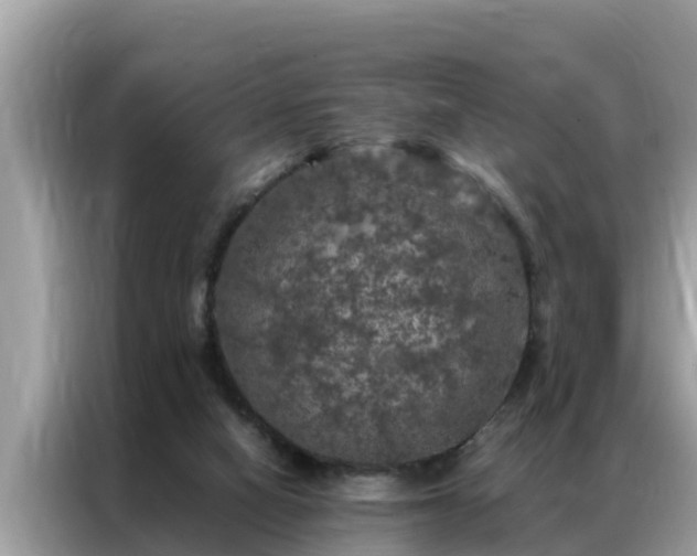 X0000087370066200704271502