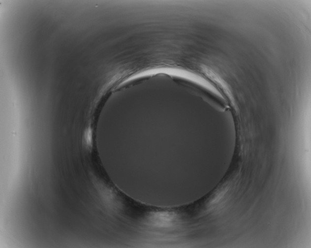X0000087370067200704271502