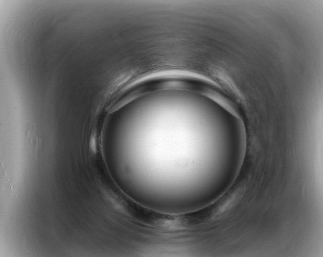 X0000087370068200704271502