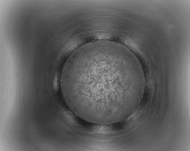 X0000087370074200704271502