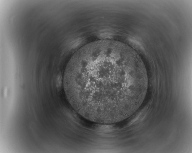 X0000087370081200704271502