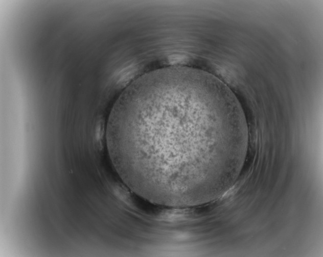 X0000087370082200704271502