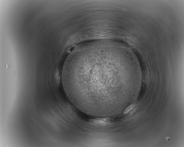 X0000087370086200704271502