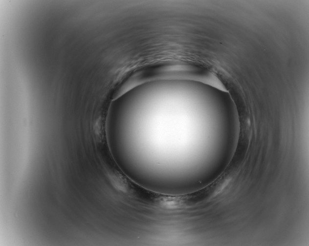 X0000087370088200704271502