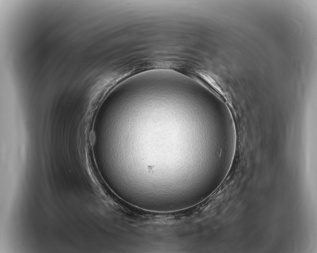 X0000087370097200704271502