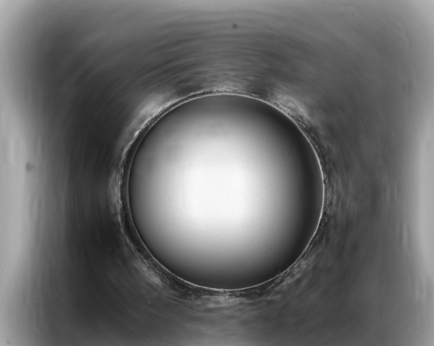 X0000087370098200704271502
