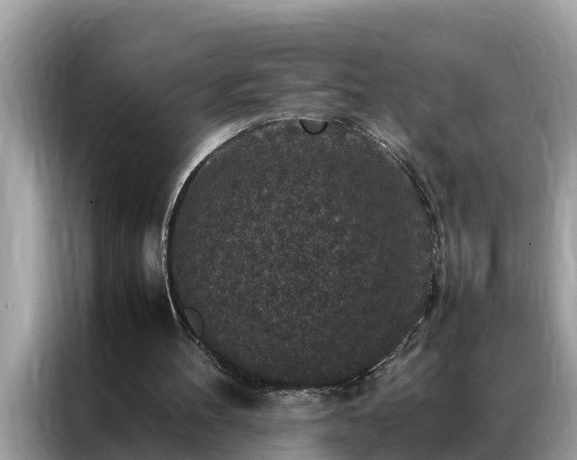 X0000087370100200704271502