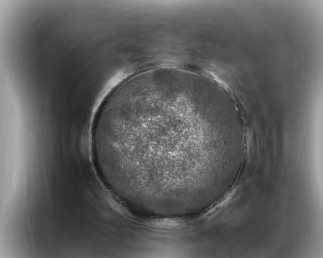 X0000087370102200704271502
