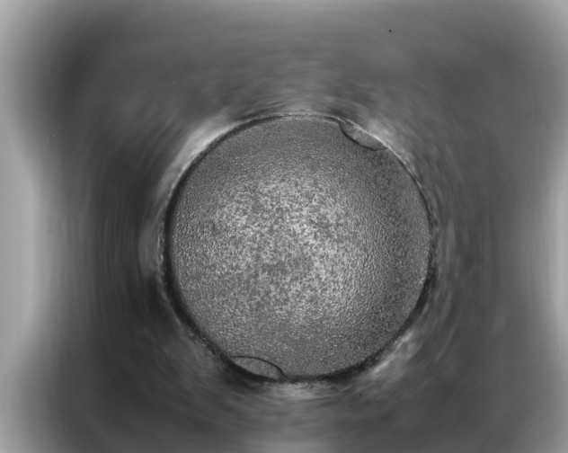 X0000087370103200704271502
