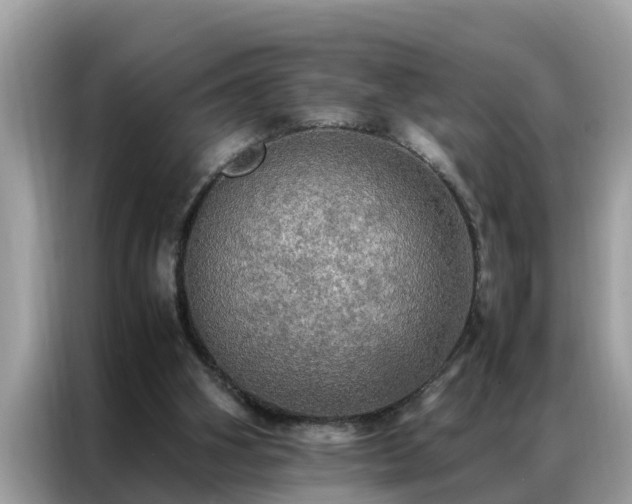 X0000087370106200704271502