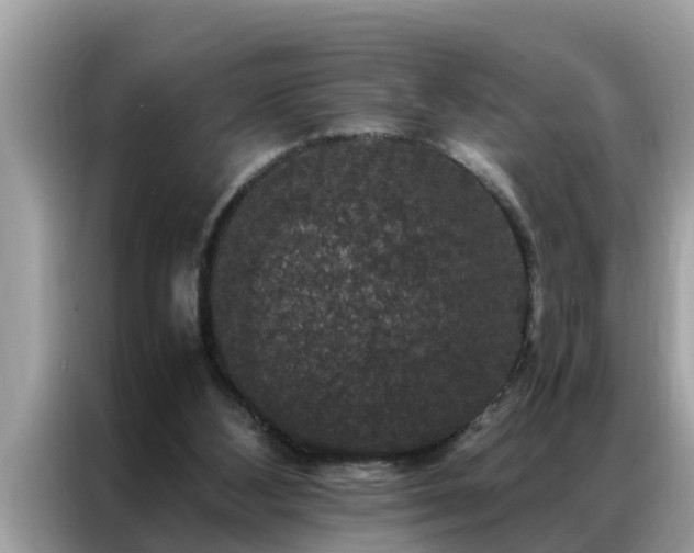 X0000087370108200704271502