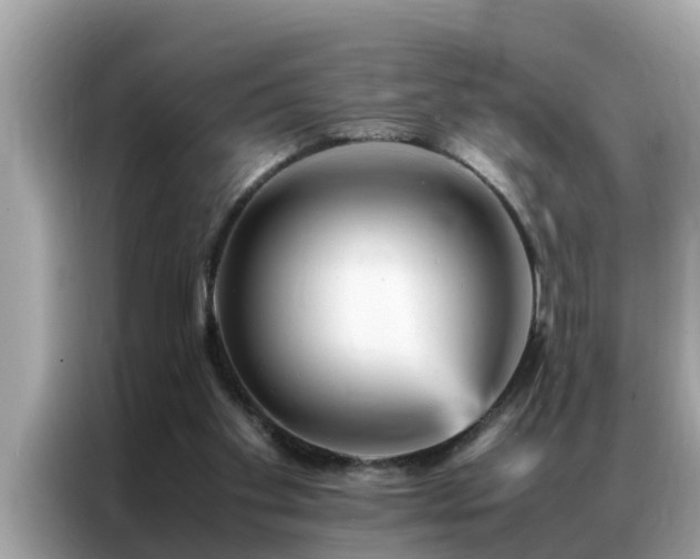 X0000087370109200704271502