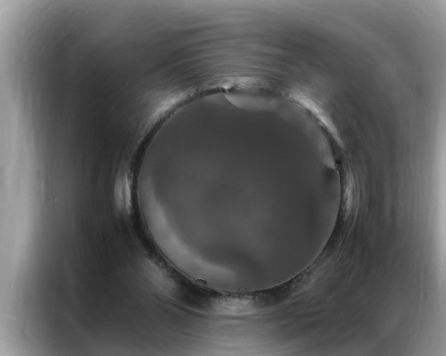 X0000087370110200704271502