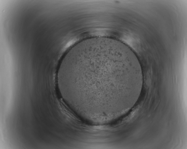 X0000087370111200704271502