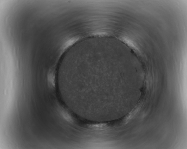 X0000087370112200704271502