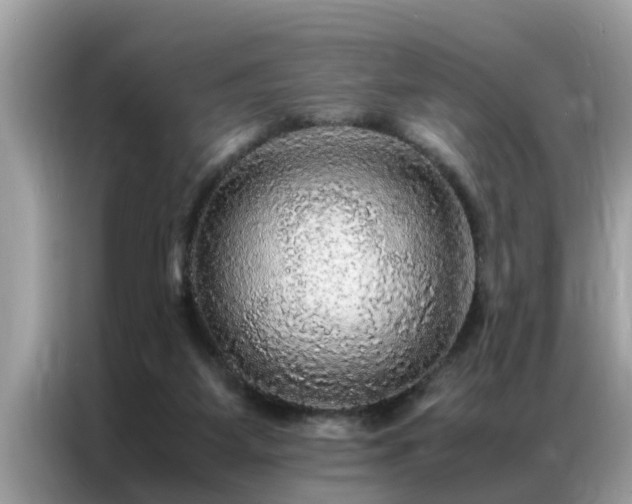 X0000087370115200704271502