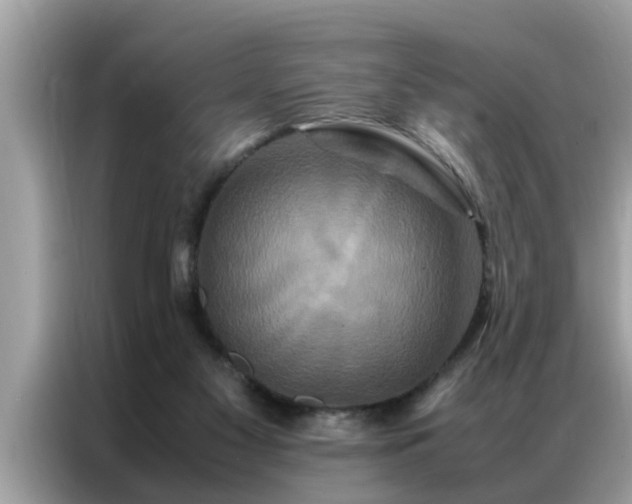 X0000087370117200704271502