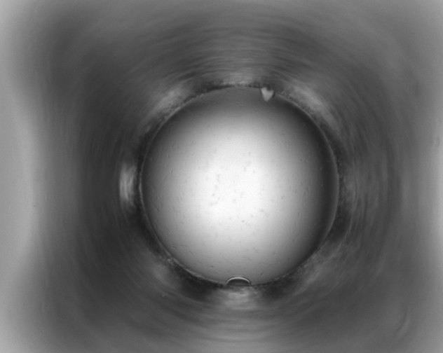 X0000087370118200704271502