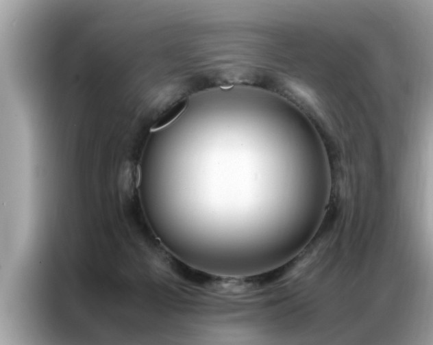 X0000087370121200704271502