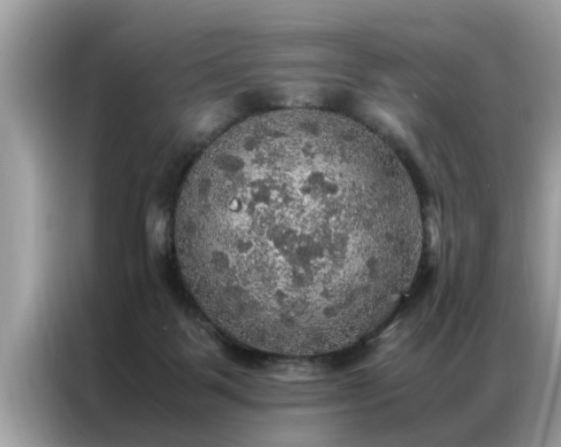 X0000087370123200704271502