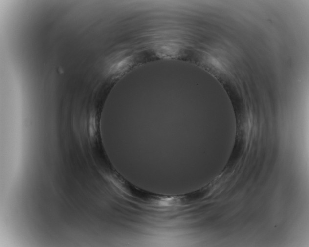 X0000087370130200704271502