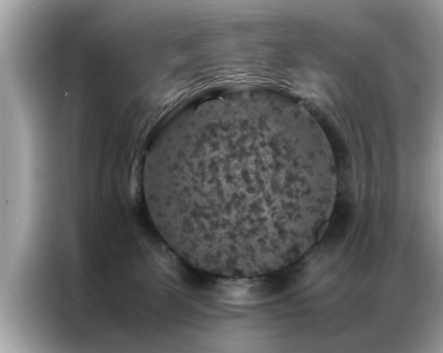 X0000087370131200704271502