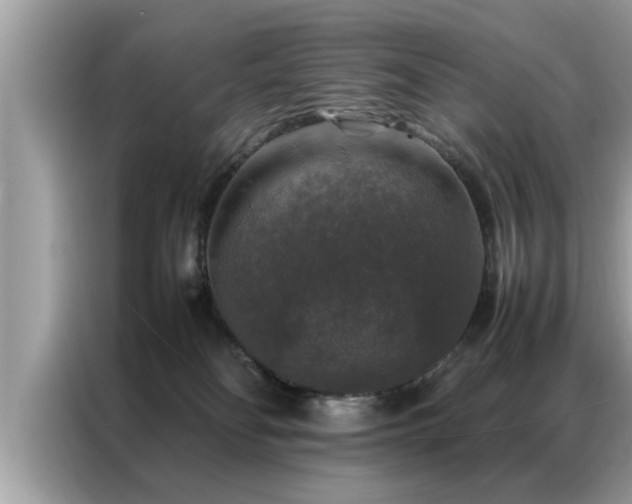 X0000087370134200704271502