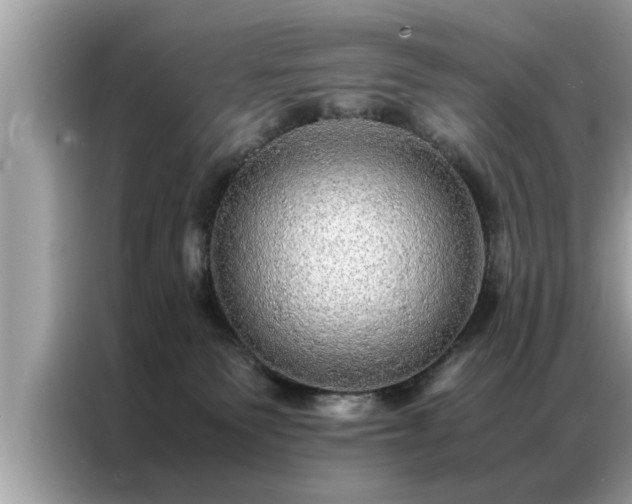 X0000087370135200704271502