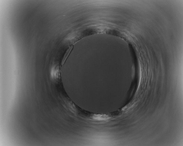 X0000087370137200704271501