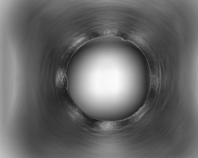 X0000087370142200704271501