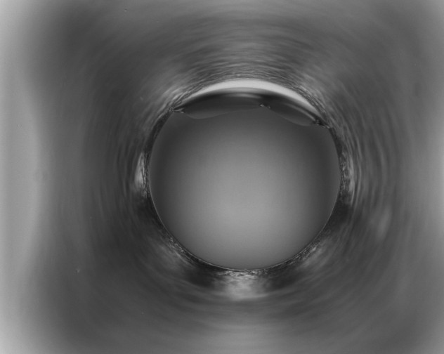 X0000087370143200704271501